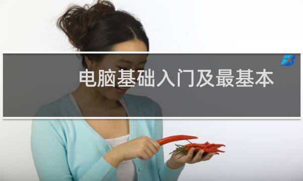 电脑基础入门及最基本的操作第一章