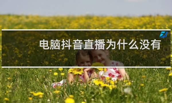 电脑抖音直播为什么没有声音