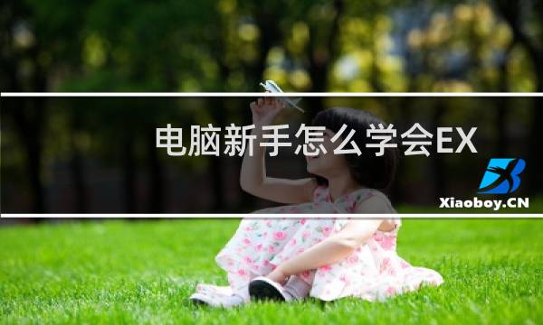 电脑新手怎么学会EXCEL