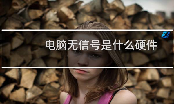 电脑无信号是什么硬件问题（电脑无信号是什么情况）图片