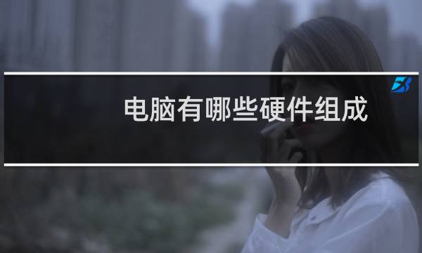 电脑有哪些硬件组成