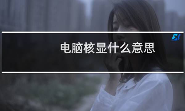 电脑核显什么意思