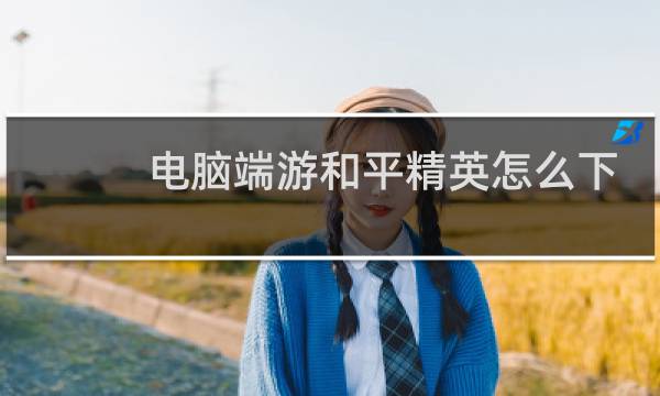 电脑端游和平精英怎么下载?图片