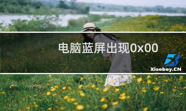 电脑蓝屏出现0x000000B怎么办