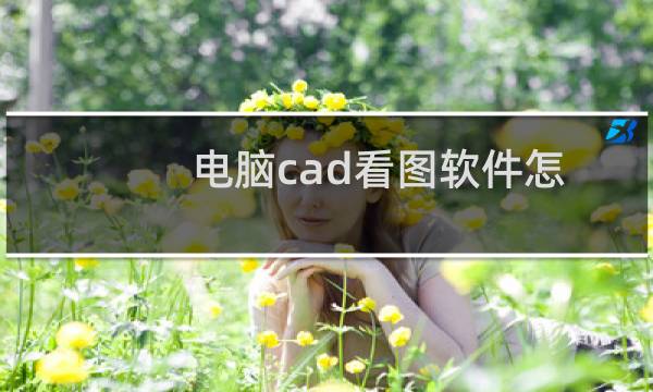 电脑cad看图软件怎么给图纸添加线段