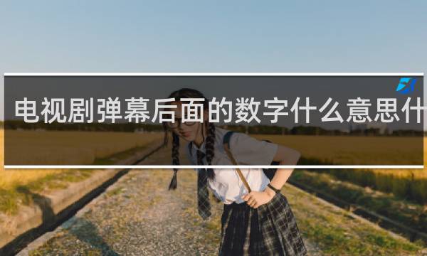 电视剧弹幕后面的数字什么意思什么梗