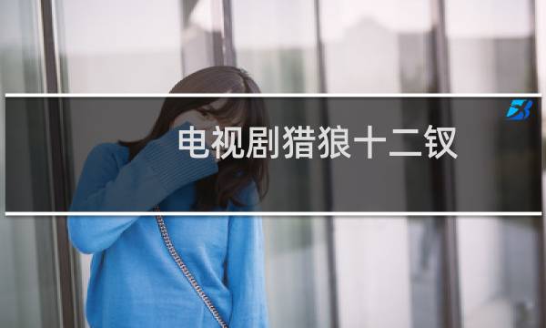 电视剧猎狼十二钗