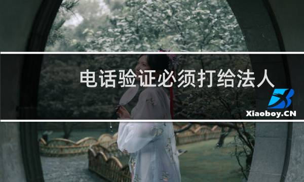 电话验证必须打给法人吗？可不可以打给网站负责人