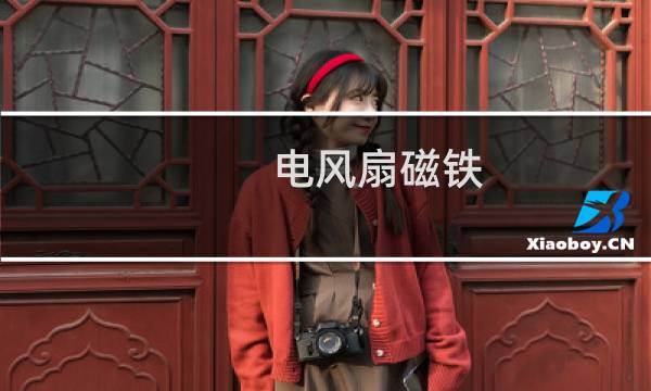 电风扇磁铁