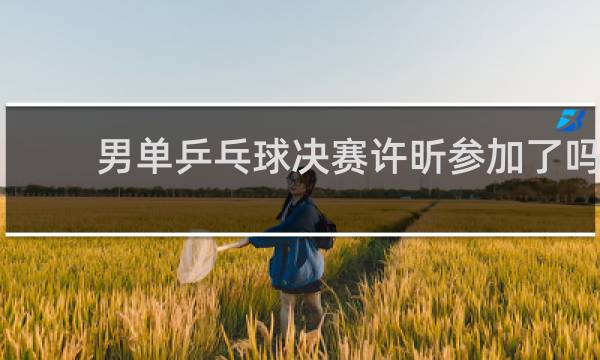 男单乒乓球决赛许昕参加了吗