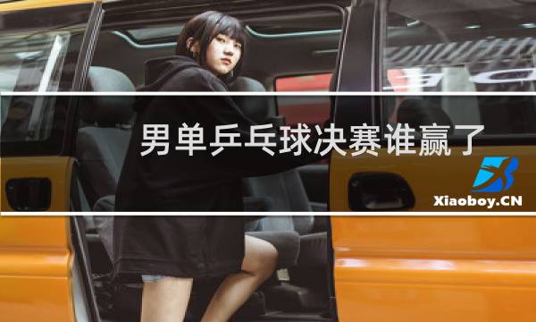 男单乒乓球决赛谁赢了