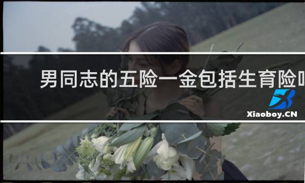 男同志的五险一金包括生育险吗