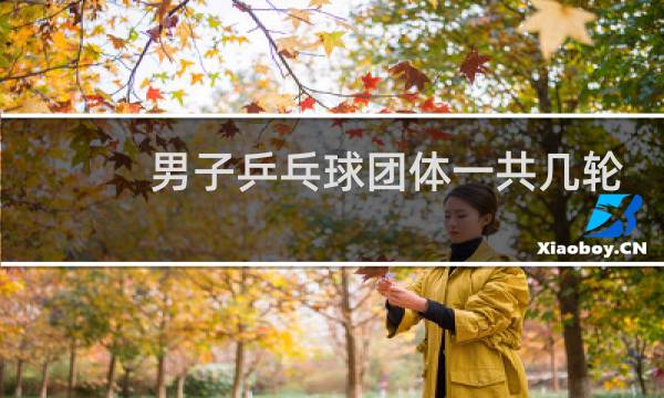 男子乒乓球团体一共几轮