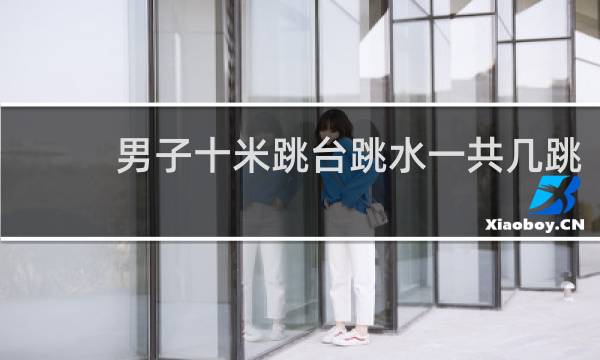 男子十米跳台跳水一共几跳