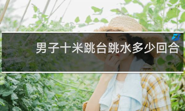 男子十米跳台跳水多少回合