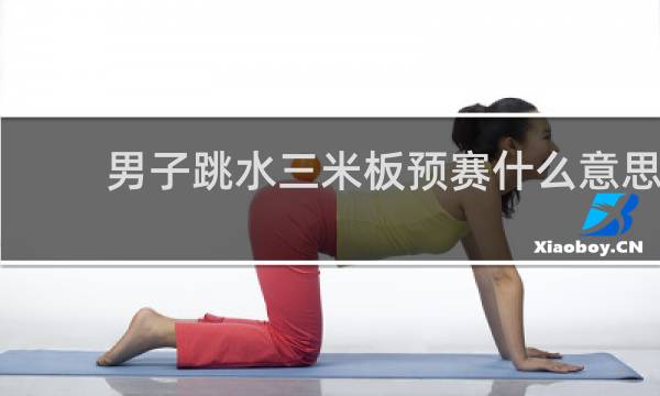 男子跳水三米板预赛什么意思