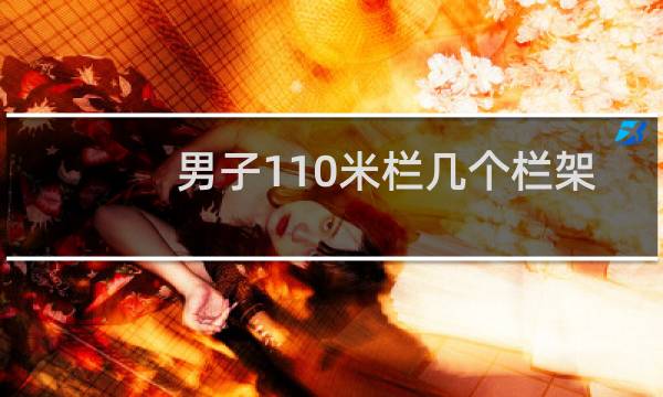 男子110米栏几个栏架