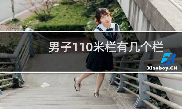 男子110米栏有几个栏