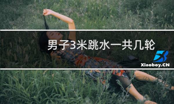 男子3米跳水一共几轮