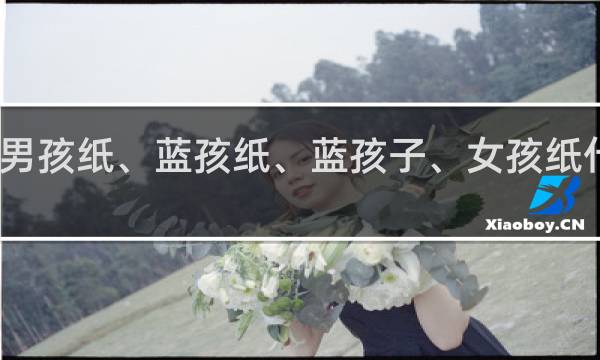男孩纸、蓝孩纸、蓝孩子、女孩纸什么梗