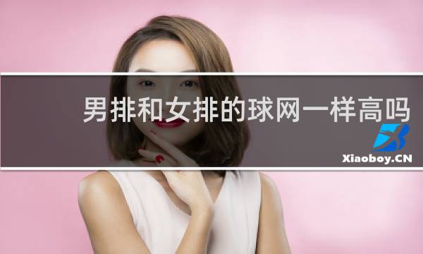 男排和女排的球网一样高吗