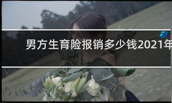 男方生育险报销多少钱2021年