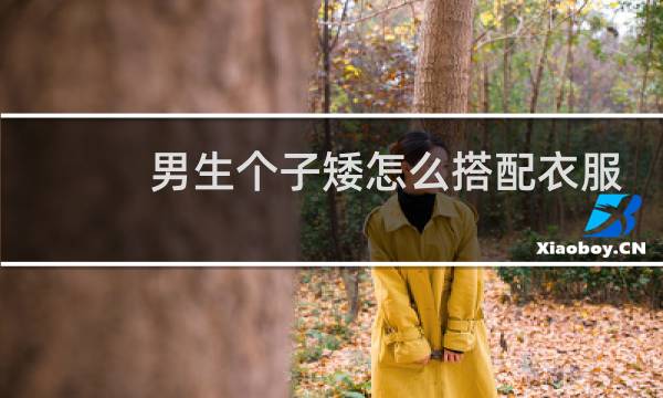男生个子矮怎么搭配衣服