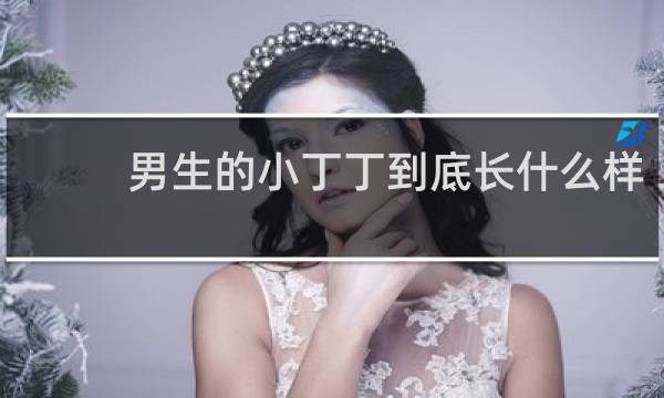男生的小丁丁到底长什么样