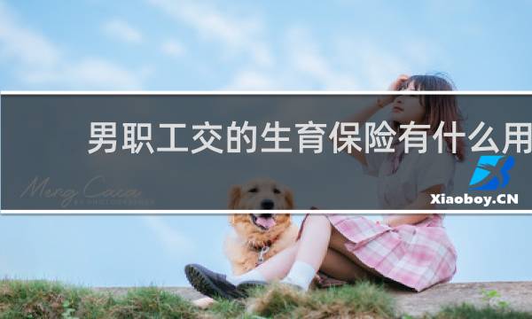 男职工交的生育保险有什么用