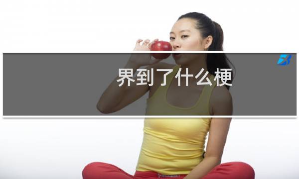 界到了什么梗