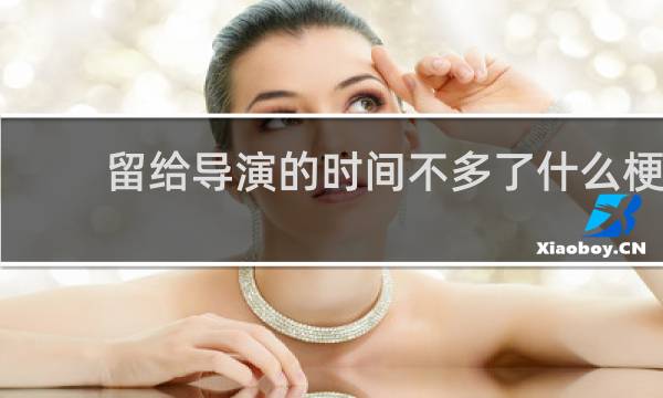 留给导演的时间不多了什么梗