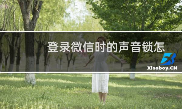 登录微信时的声音锁怎么设置开启