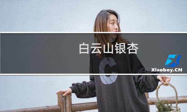 白云山银杏