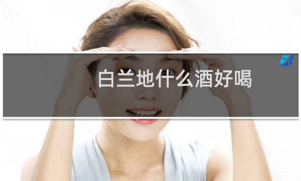 白兰地什么酒好喝