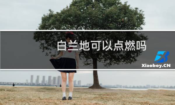 白兰地可以点燃吗图片