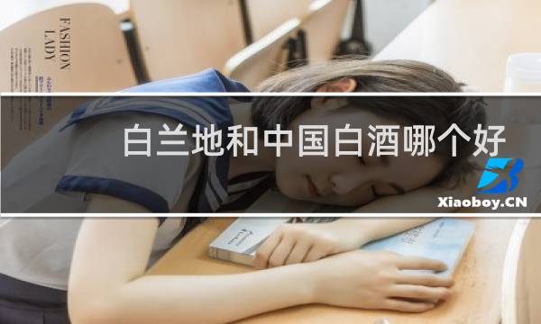白兰地和中国白酒哪个好