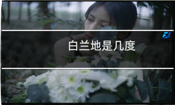 白兰地是几度图片