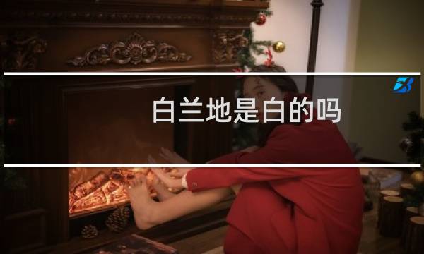 白兰地是白的吗图片