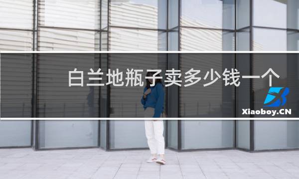 白兰地瓶子卖多少钱一个图片