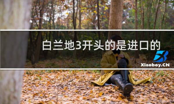 白兰地3开头的是进口的吗图片