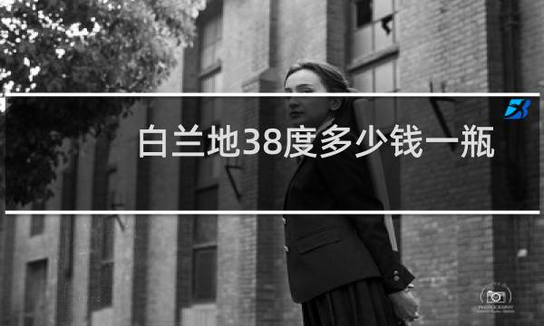 白兰地38度多少钱一瓶图片
