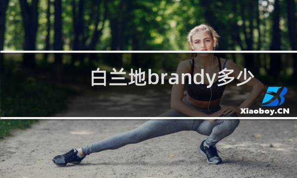 白兰地brandy多少钱一瓶