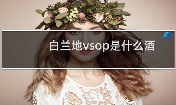 白兰地vsop是什么酒