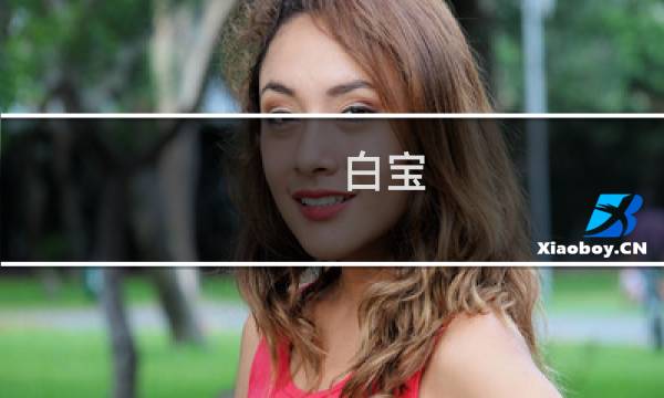 白宝（滩羊二毛皮 永宁县特产）