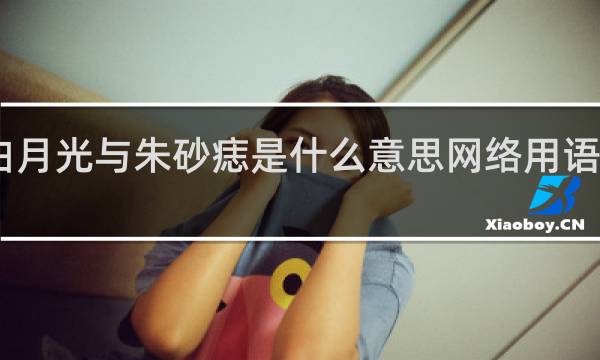 白月光与朱砂痣是什么意思网络用语什么梗