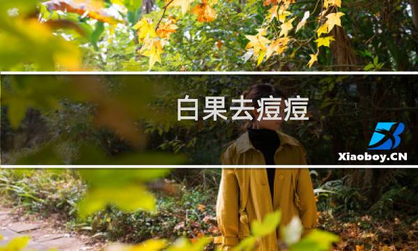 白果去痘痘