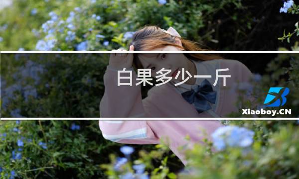 白果多少一斤
