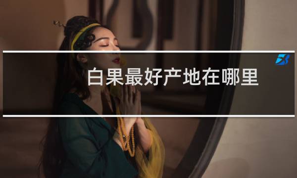 白果最好产地在哪里