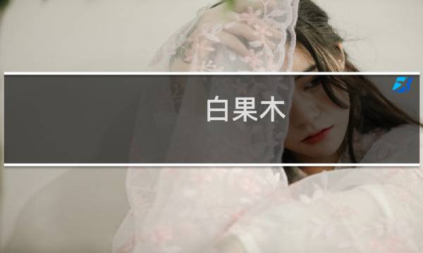 白果木