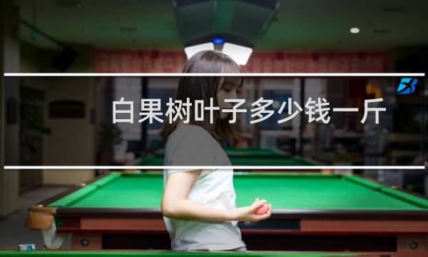 白果树叶子多少钱一斤